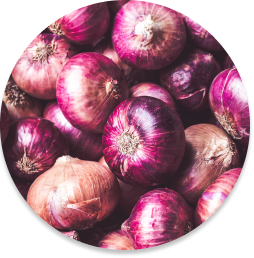 Onion Big